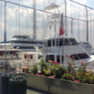 Meet your Posher, Samuel